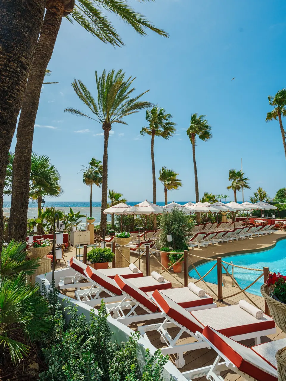 Red and white sun loungers beneath palms around the pool